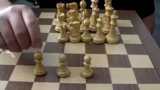 Chess Sets -- A Comparison Review