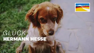 Glück 🍀 Hermann Hesse (4K film emulation)