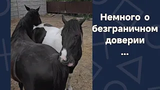 Я здесь местная! Хочу - и сижу! 😆