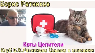 Борис Ратников. Коты - целители. Отрывок из онлайн семинара