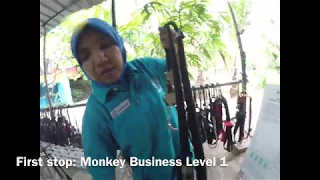 Eacape Park: Monkey Business Level 1 Walkthrough