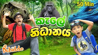 කැලේ නිධානය| Kids Adventure 🦍🐉🦕 | Learning & Cooking in the Jungle |  Mr Debiddo Kids| Wild Animal