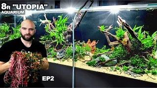 Building Utopia: 8ft Planted Aquarium (EP2)
