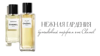 Парфюм за 50 тысяч! Бутиковая Chanel Gardenia, Le Lion. Затест и мои впечатления