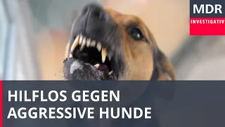 Hilflos gegen aggressive Hunde