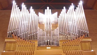 CONSOLI PIPE ORGANS:  Concerto D'organo nella Chiesa Santa Famiglia di Martina F. (TA)