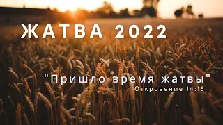 Жатва  |  16 Октября 2022 г.