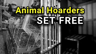 Animal Hoarders Set Free - What Now?