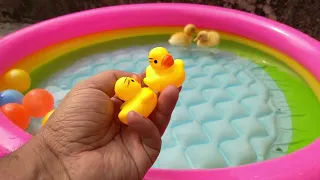 Inflatable water park for Ducklings with colorful fish