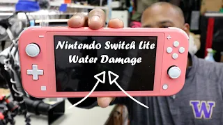 Nintendo Switch Lite Water Damage