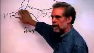 SIY course video Daniel Goleman - Neuroscience of emotion and decision making