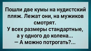 Пошли Две Кумы На Нудистский Пляж! Сборник Свежих Анекдотов! Юмор!