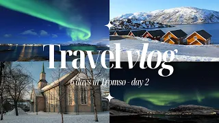 Aurora Quest: Cathedral Serenity, Park Vibes, Lights Magic in Tromsø! 🌌 #ArcticThrills