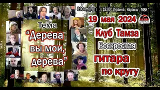 ГИТАРА ПО КРУГУ - Дерева вы мои, дерева - 19 мая, 2024 г.