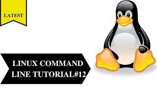 Linux Command Line Tutorial #12 2021 | Pipes  | sort  | Grep  | Cron | vi editor | sed introduction