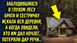 Заблудившихся в глухом лесу искала вся деревня, а когда увидели, кто им предоставил ночлег…