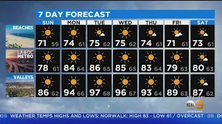 Alex Biston's Weather Forecast (May 24)