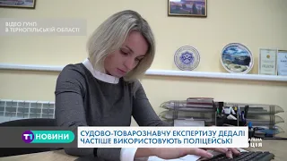 Експертиза у роботі поліцейських: як проводять, та що знаходять?