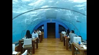 Ithaa, Conrad Maldives Rangali Island, Maldives - World's First Undersea Restaurant