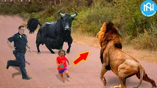 When Animals Go On A Rampage! Interesting Animal Moments CAUGHT ON CAMERA! #25