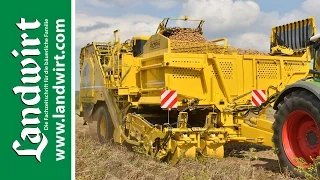 ROPA Kartoffelroder Keiler 2 | landwirt.com