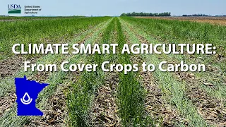 Climate Smart Agriculture in Minnesota: From Cover Crops to Carbon