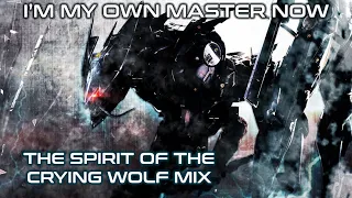 Metal Gear Rising: Revengeance - I'm My Own Master Now (The Spirit Of The Crying Wolf Mix)