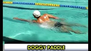 Doggy Paddle