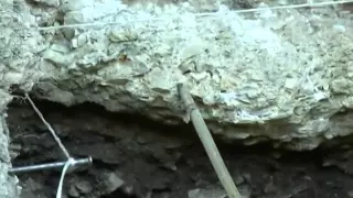 Свежие новости Археолог из Сочи нашёл пещеру времен позднего палеолита