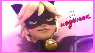 Miraculous ladybug • подонок • [For: #Конкурс_JacksonFrostySnowy]