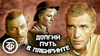 Долгий путь в лабиринте. По роману Александра Насибова (1981)