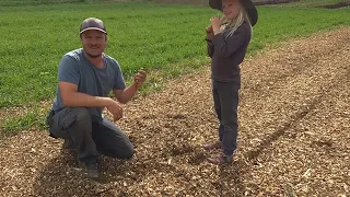 Feeding our soil with wood chips - Ottawa Farm Fresh