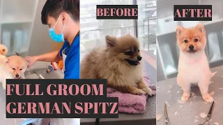 Grooming a German Spitz Dog  |  Bunny TV