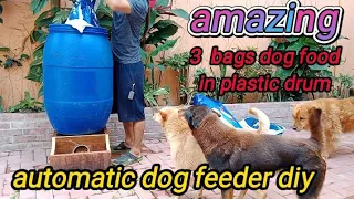 how to make automatic dog feeder paano gumawa Ng kainan ng aso