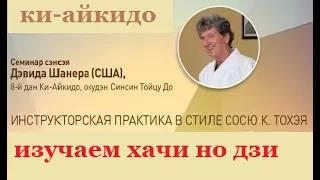 Ки-Айкидо. Семинар сэнсэя Дэвида Шанера.