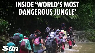 Inside the world's most dangerous jungle where bandits & beasts roam