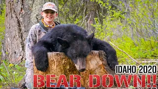 2020 IDAHO SPRING BEAR HUNT - BEAR DOWN!!