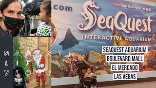 SeaQuest Aquarium/ El Mercado/ Boulevard Mall Las Vegas/ Christmas Tree/ Happy Holidays