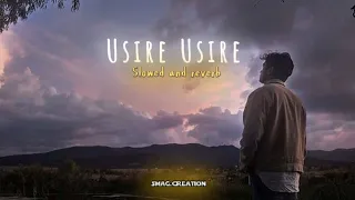 Usire Usire kannada song (Slowed and Reverb)