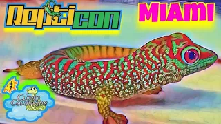 Repticon Miami 2023. Full Walkthrough