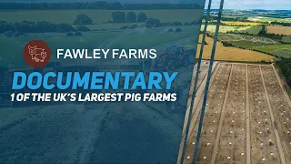 Fawley Farms: Pig Farm Documentary