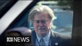 Interview reveals Steve Bannon's intentions for Europe  | ABC News