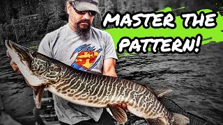Why SHORT LINE TROLLING is so effective while MUSKY FISHING!
