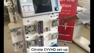 CVVHD set-up (citrate)