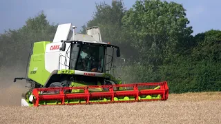 Combining at Glovers Farm With a Claas Lexion 630 Combine 13-8-2021