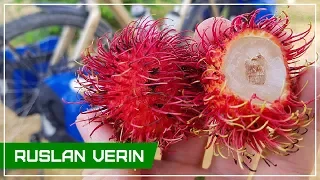 RAMBUTAN: an Exotic fruit with an unusual taste | orxan Verin #7