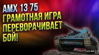 AMX 13 75 - ЛТ ДОЛЖЕН ЖИТЬ ДО КОНЦА! WOT BLITZ / TANKS BLITZ