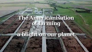 FEEDLOTS in New Zealand