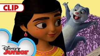 Mikku and Chikku's Hometown Mystery | Mira, Royal Detective | @disneyjunior