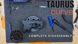 Taurus Curve Complete Disassembly (Firearm Maintenance)